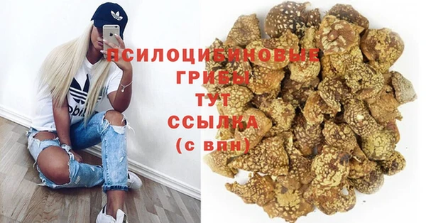 таблы Кодинск