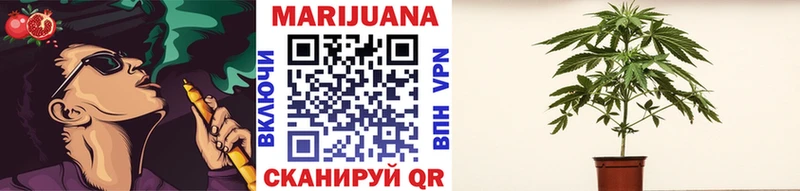 Купить Минусинск Канабис семена